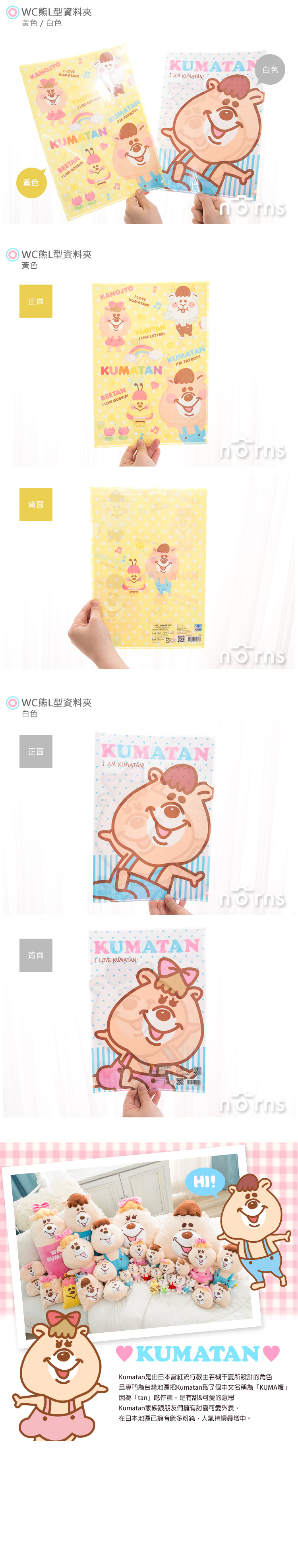 【WC熊L型資料夾】Norns 文件夾 正版WC熊 kumatan kuma糖 若槻千夏